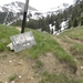 DSCN0844