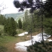DSCN0847