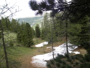 DSCN0847