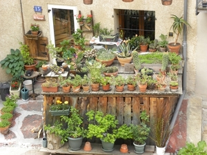 DSCN0873