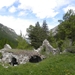 DSCN0913