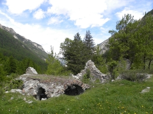 DSCN0913