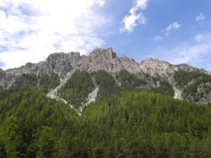DSCN0914