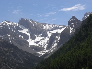 DSCN0918