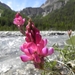 DSCN0920