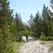 DSCN0923