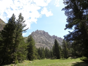 DSCN0924
