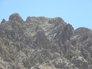 DSCN0925