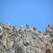 DSCN0927