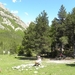 DSCN0937