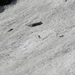 DSCN0941