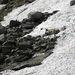 DSCN0942