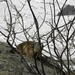 DSCN0945