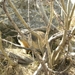 DSCN0946