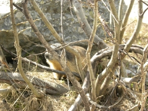 DSCN0946