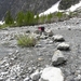 DSCN0962