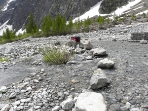 DSCN0962