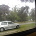 DSCN0977