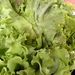 DSCN0983