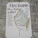 DSCN0987