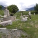 DSCN0990