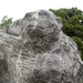 DSCN0993