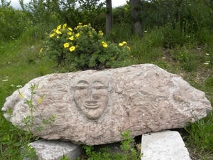 DSCN0996