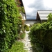 DSCN0998