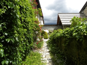 DSCN0998