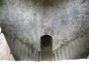 DSCN1001