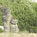 DSCN1012