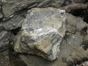 DSCN1055