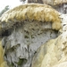 DSCN1085