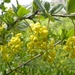 DSCN1103