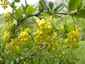 DSCN1103