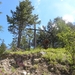 DSCN1114