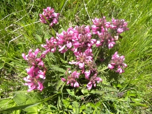 DSCN1127