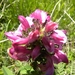 DSCN1128