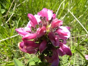 DSCN1128