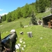 DSCN1135