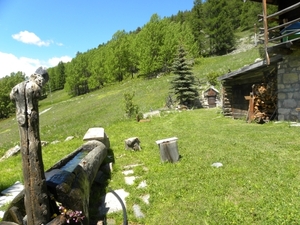 DSCN1135