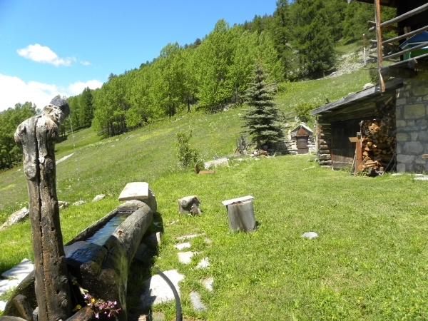 DSCN1135