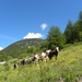 DSCN1137