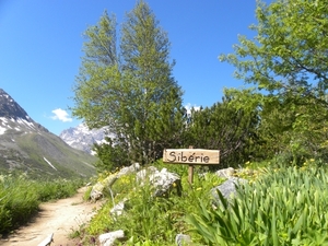 DSCN1160