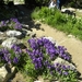 DSCN1162