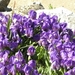 DSCN1163