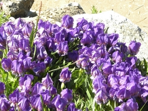 DSCN1163
