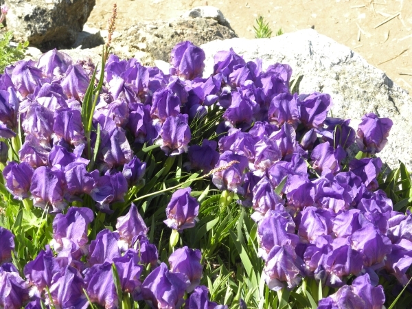 DSCN1163