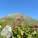 DSCN1167