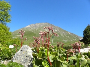 DSCN1167